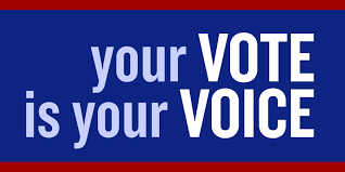 Your vote your vioce